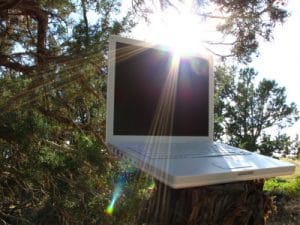 Jobs with no fees