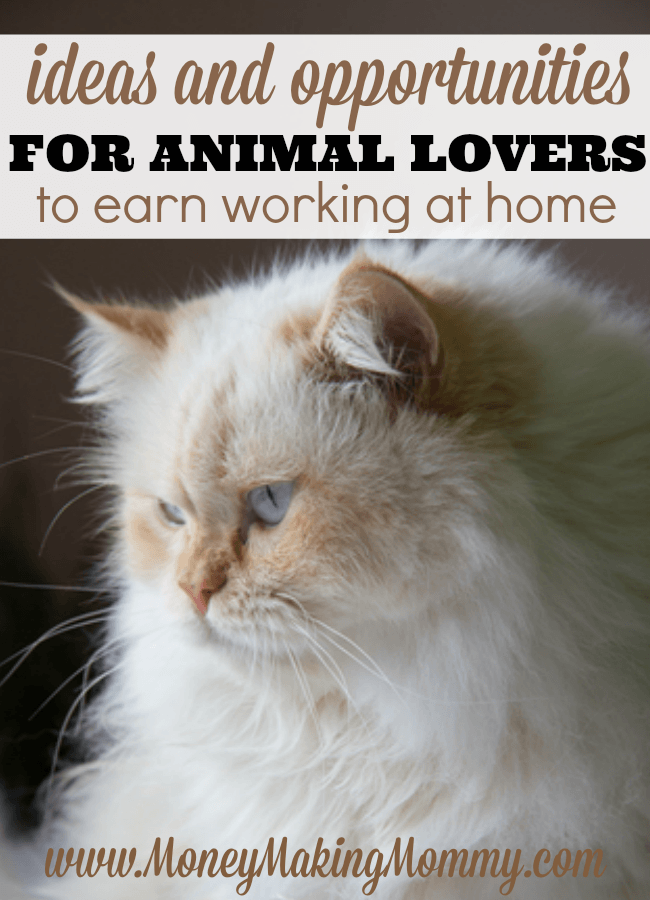Ideas for Animal Lovers to Earn Working at Home