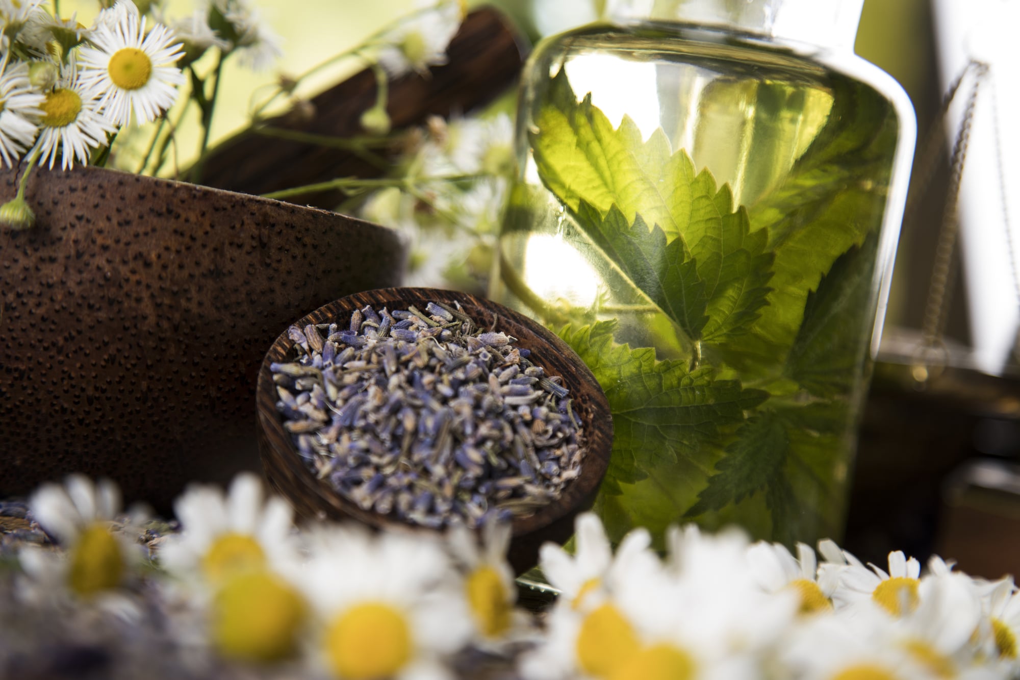 Essential Oil Business and Aromatherapy Direct Sales (List)