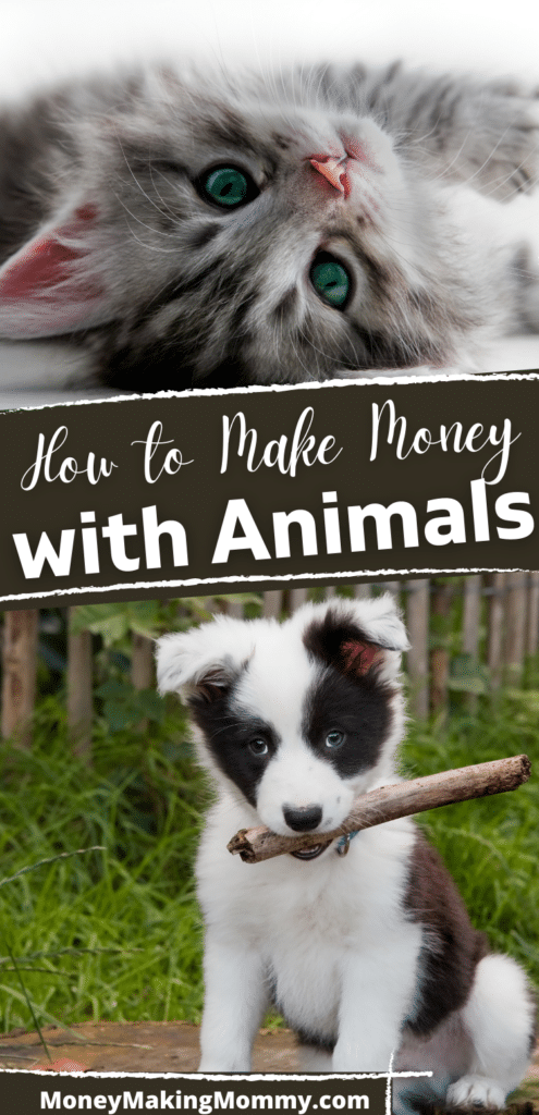 How to Make Money with Animals