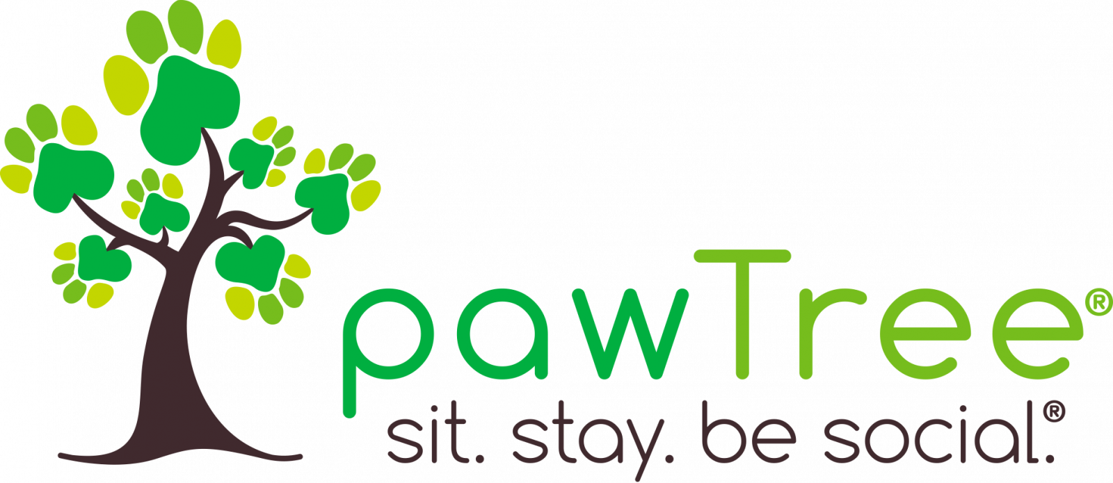 pawTree Pet Products