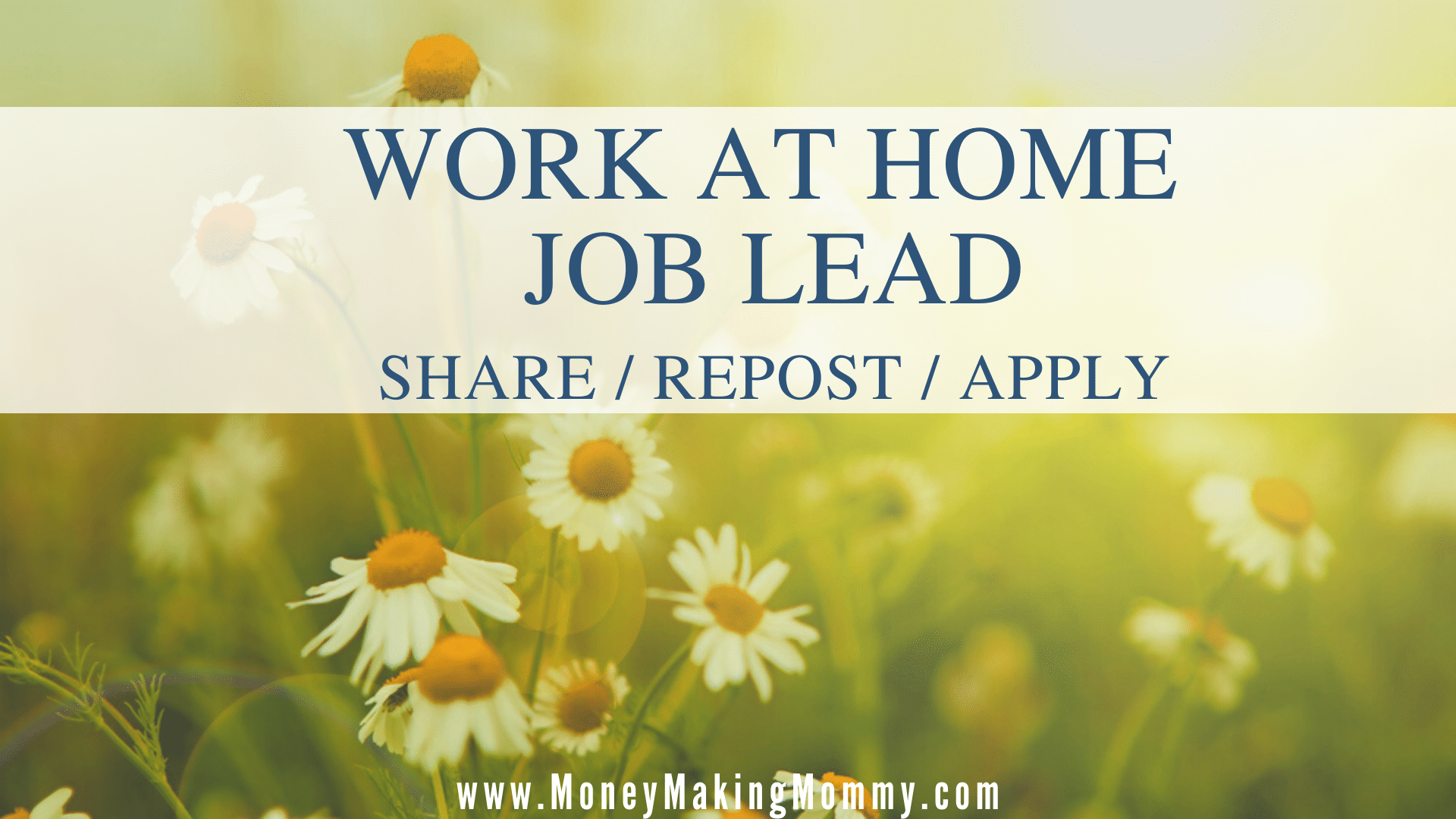 Work at Home Job Apply