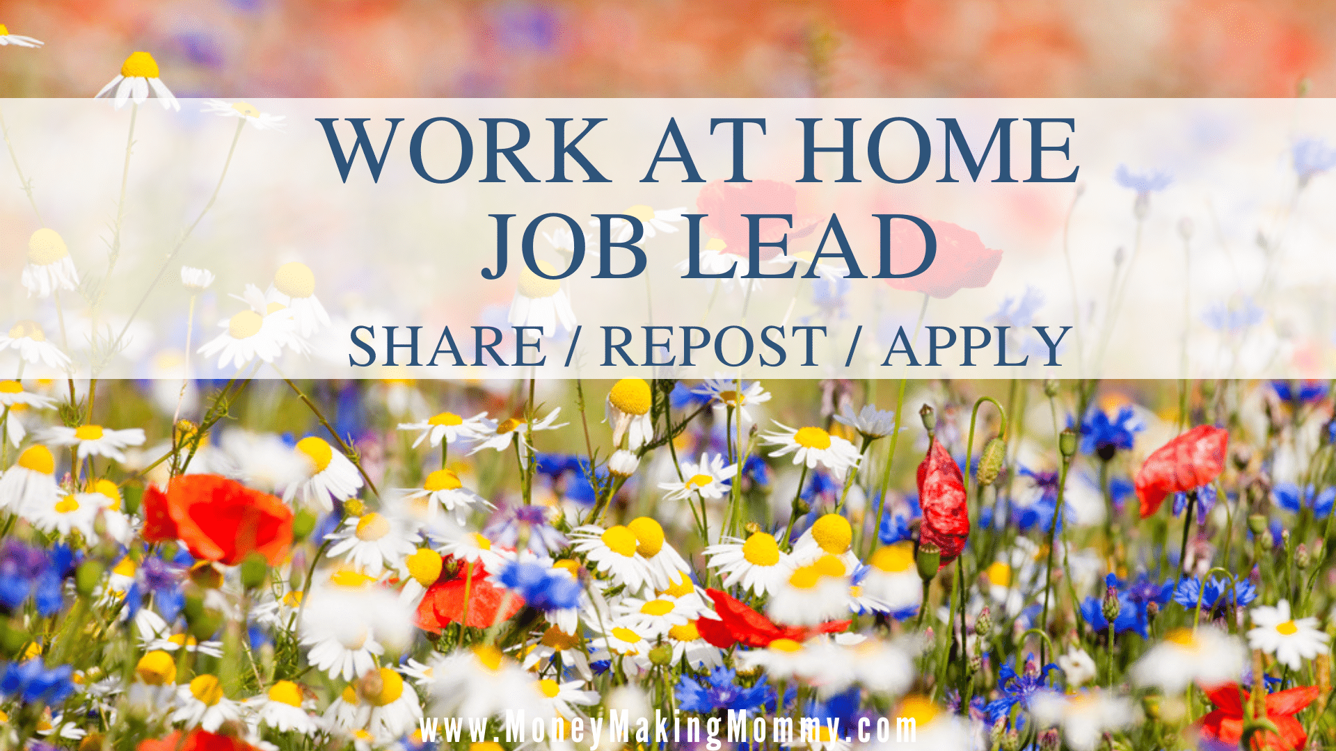 Work at Home Job Lead